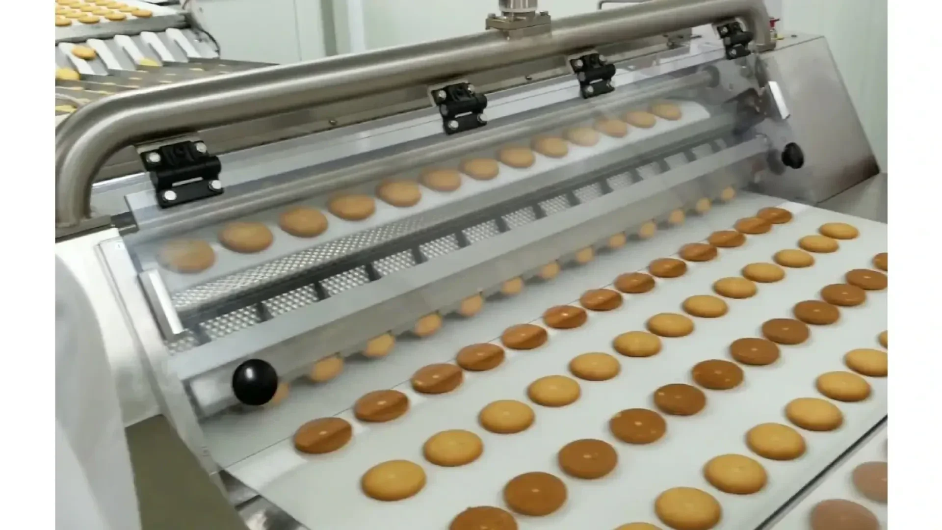 Reihen von runden Keksen bewegen sich auf einem Förderband in einer Fabrik und durchlaufen eine Maschine als Teil eines automatisierten Back- oder Beschichtungsprozesses.