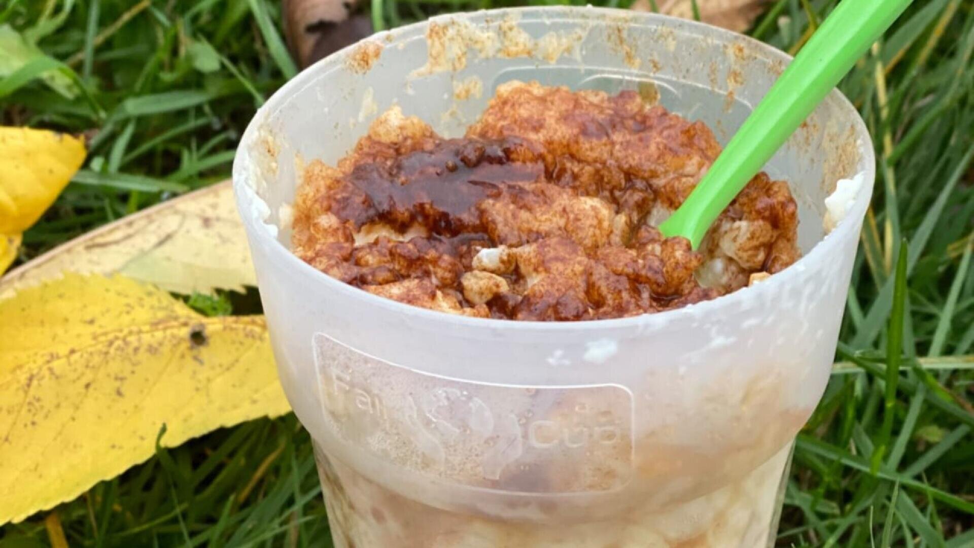 A clear cup filled with oatmeal topped with a brown sauce, possibly cinnamon or syrup, sits on grass next to a yellow leaf. A green plastic spoon is inserted into the oatmeal.