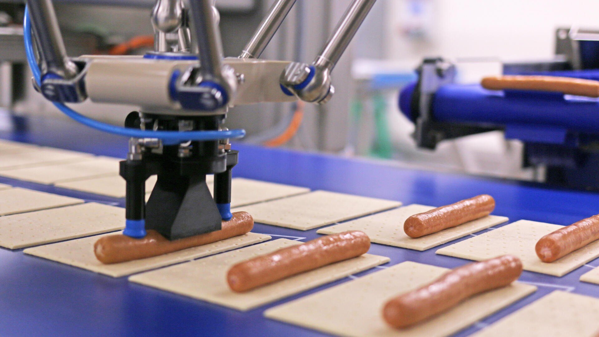 A robotic arm arranges hot dogs onto square crackers on a blue conveyor belt in a food processing facility. The machine is precisely placing each hot dog on the crackers.