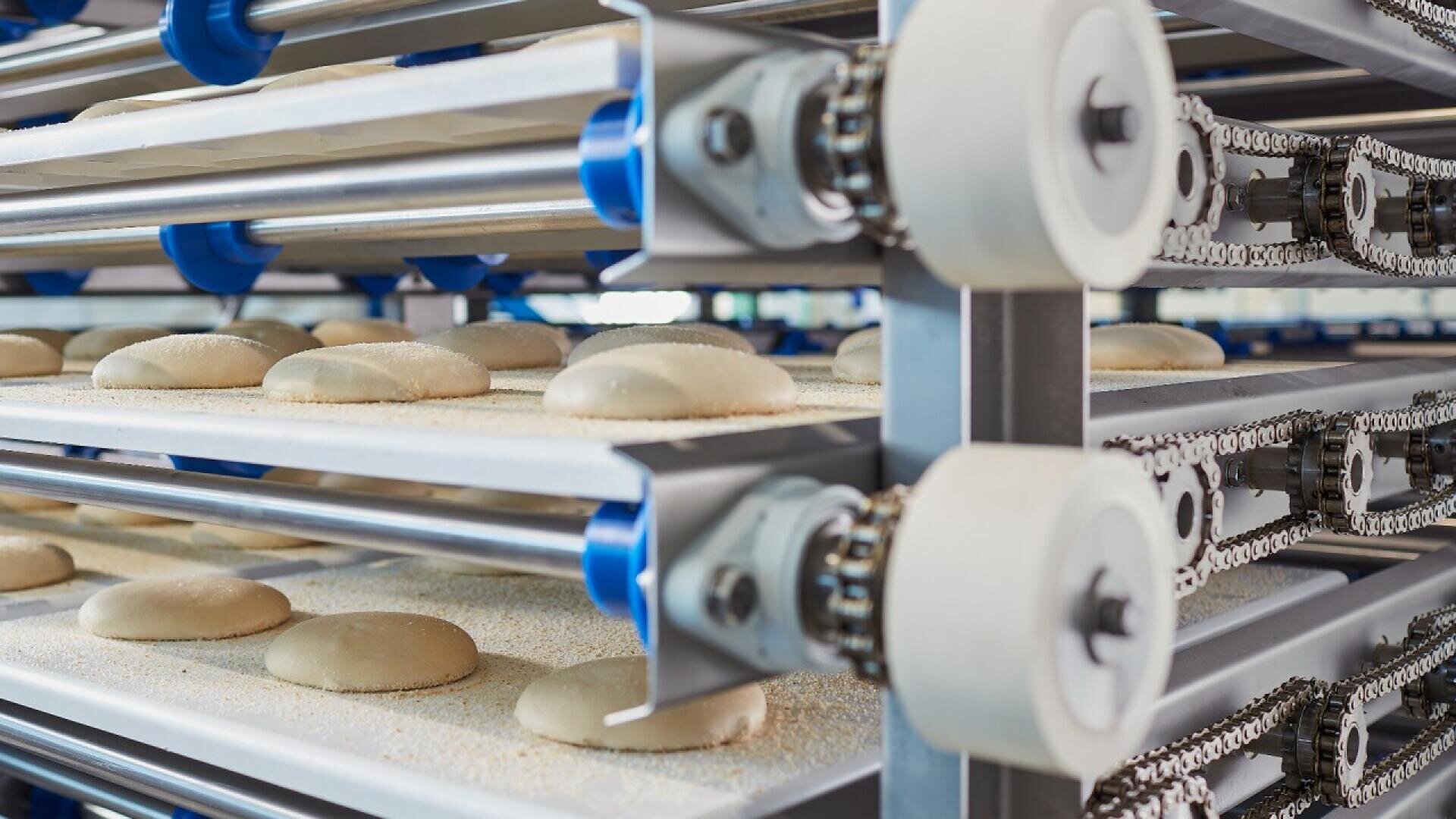 Rows of dough pieces are lined up on conveyor belts in an industrial bakery, moving through a metal and chain mechanism as part of an automated bread production process.