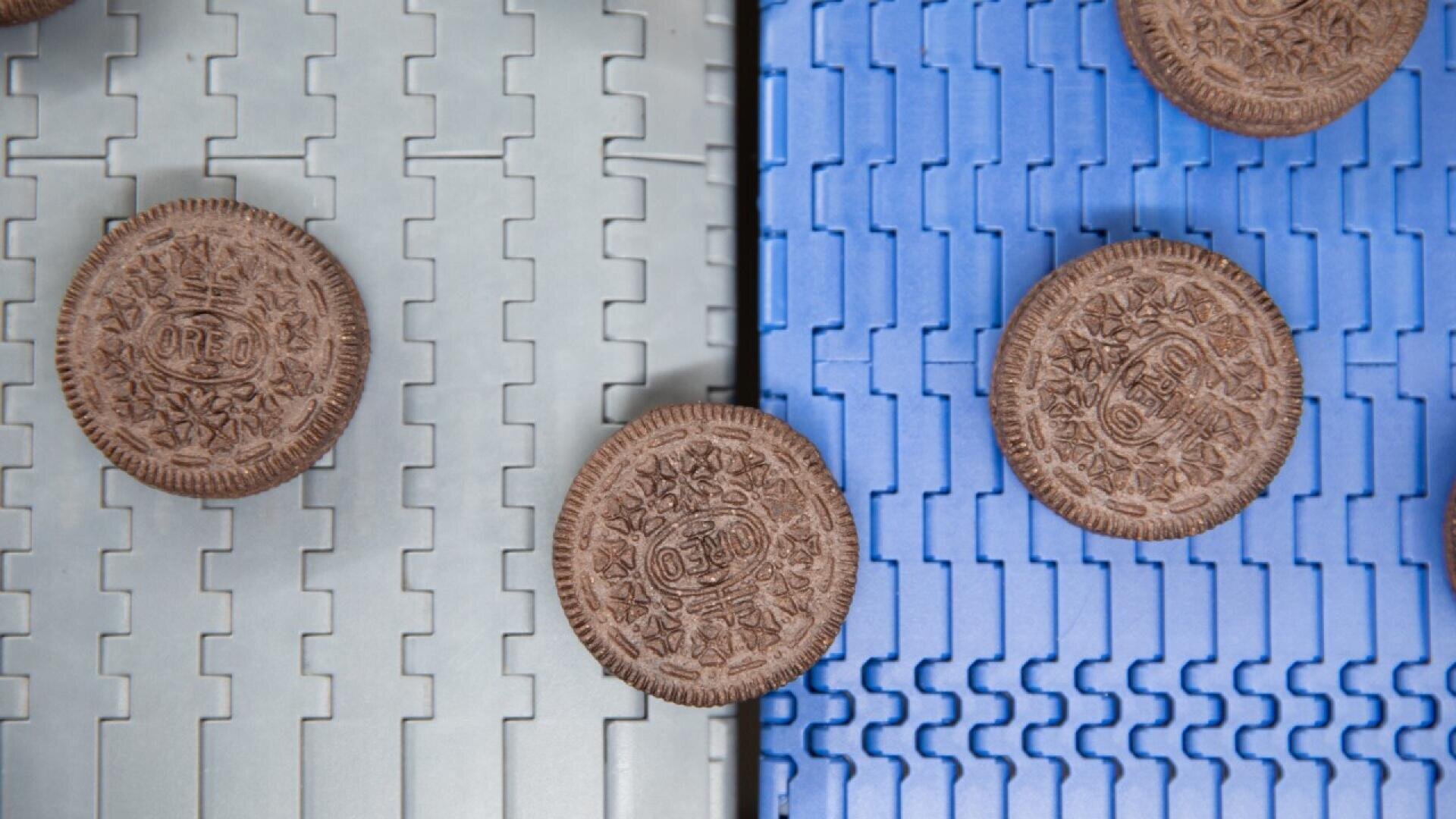 Nahaufnahme mehrerer Oreo-Kekse auf einem Förderband, wobei die linke Seite hellgrau und die rechte Seite blau ist, wodurch die detaillierten Muster der Kekse zu erkennen sind.