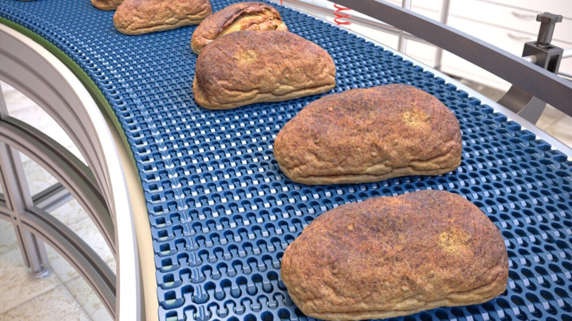 Several loaves of bread move along a blue conveyor belt in a bakery or food processing facility, ready for packaging or further processing.