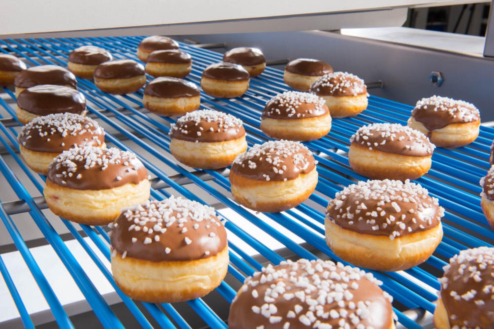 Rows of round donuts with chocolate icing and white sprinkles move along a blue conveyor belt in a bakery or factory setting.