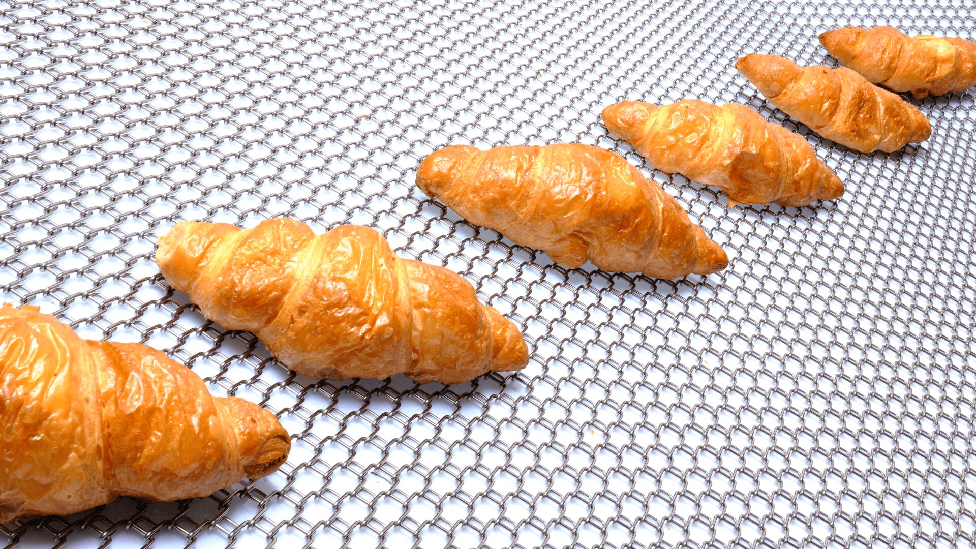 Fünf goldbraune Croissants sind in einer diagonalen Linie auf einer Metallgitterfläche angeordnet, wobei die einzelnen Gebäckstücke gleichmäßig voneinander entfernt sind. Der Hintergrund ist weiß, wodurch ein sauberes und helles Erscheinungsbild entsteht.