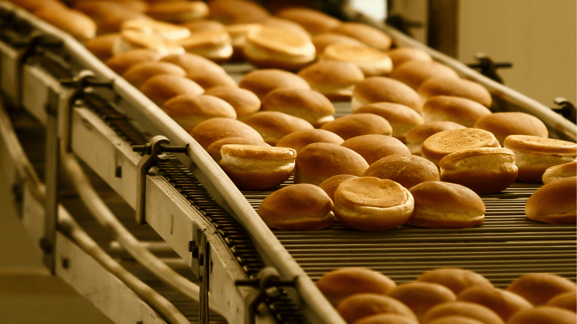 In einer Bäckerei laufen Reihen von runden Brötchen über ein Metallband, wobei das weiche Licht die frisch gebackenen Waren hervorhebt.