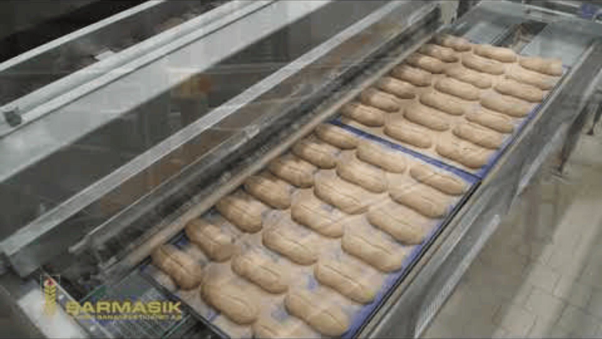 Rows of raw bread dough loaves are neatly arranged on baking trays, moving along an industrial conveyor system in a commercial bakery.