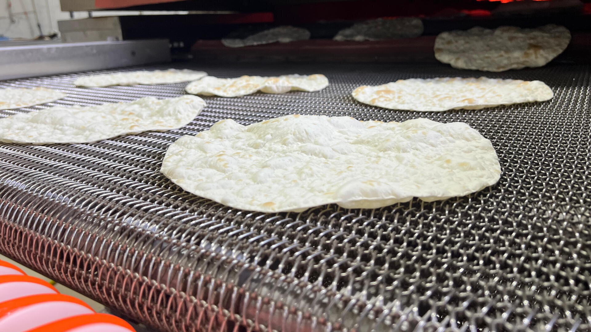 Flat, round pieces of dough are baking on a moving metal conveyor belt inside an industrial oven, likely in a commercial food production facility.