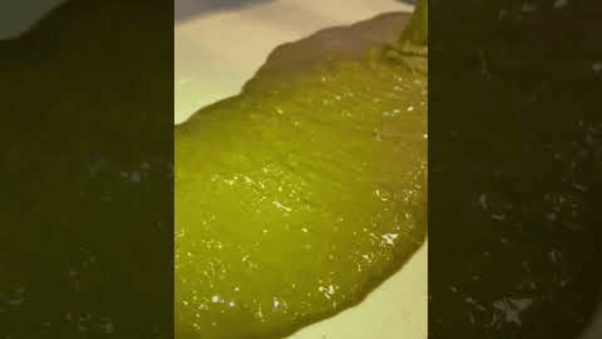 A thick, shiny green liquid is poured onto a flat white surface, creating a smooth, spread-out layer.