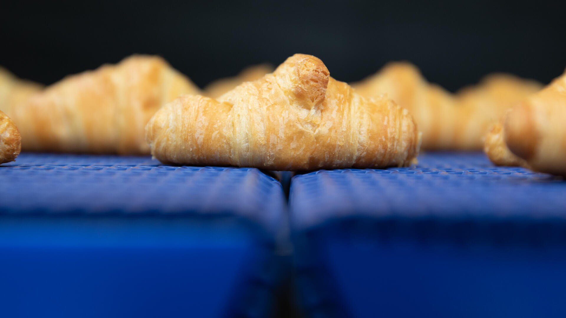 A close-up of a golden-brown croissant on a blue conveyor belt, with more croissants blurred in the background.