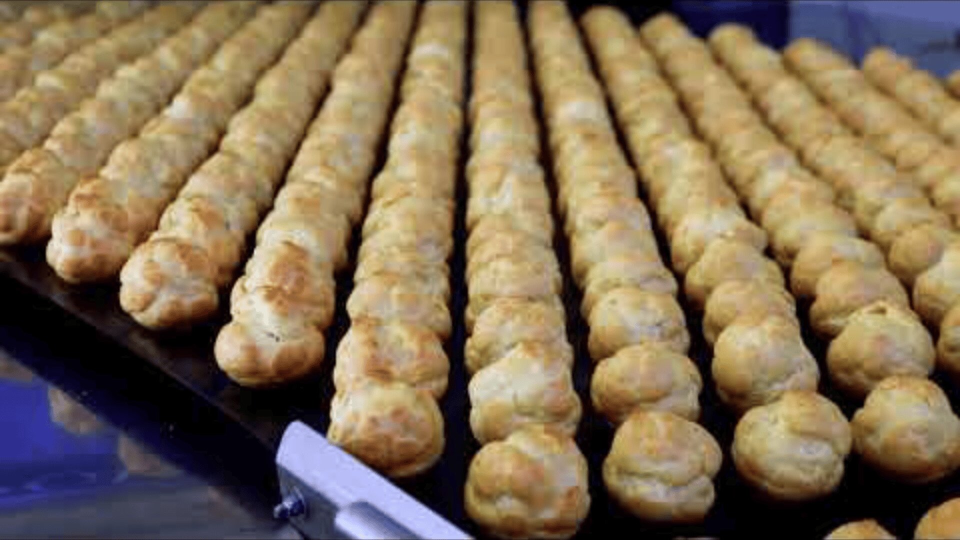 Evenly spaced, golden-brown cream puffs are arranged on a baking tray, ready to be served or filled, and their shiny top reveals that they are freshly baked.