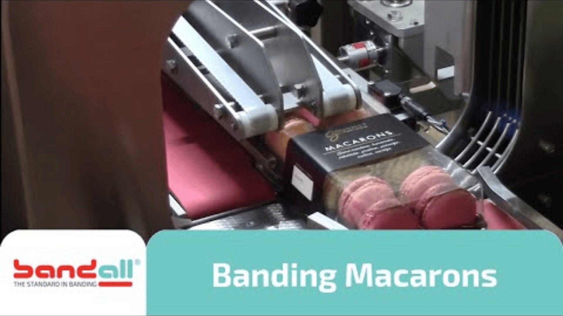 A machine bands a box of macarons with a clear wrapper; the label reads Banding Macarons. The Bandall logo and slogan The Standard in Banding appear in the lower left corner.