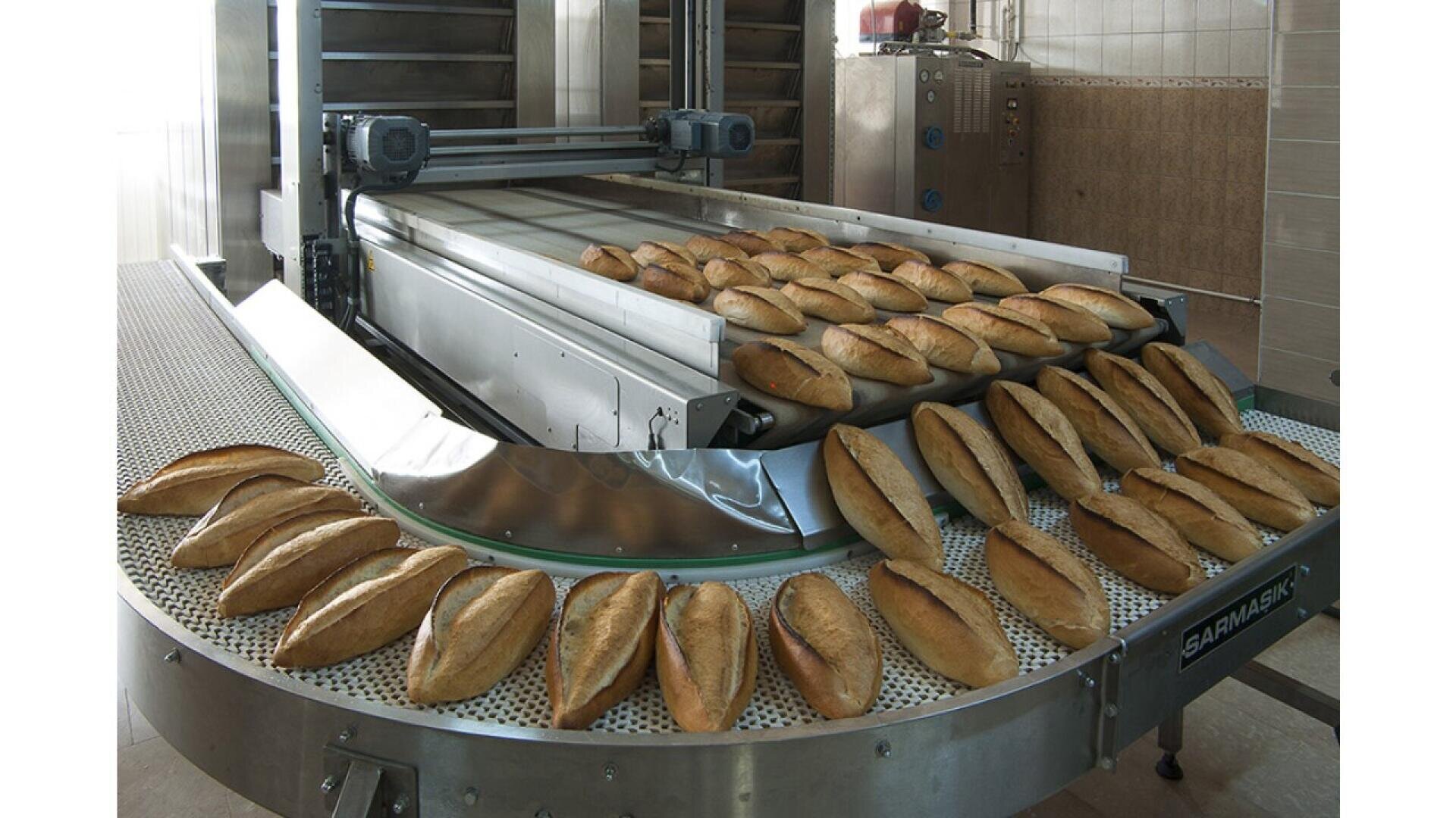 Dozens of loaves of bread are lined up on a conveyor belt inside an industrial bakery, ready for packaging or further processing. Large metal machinery is visible in the background.