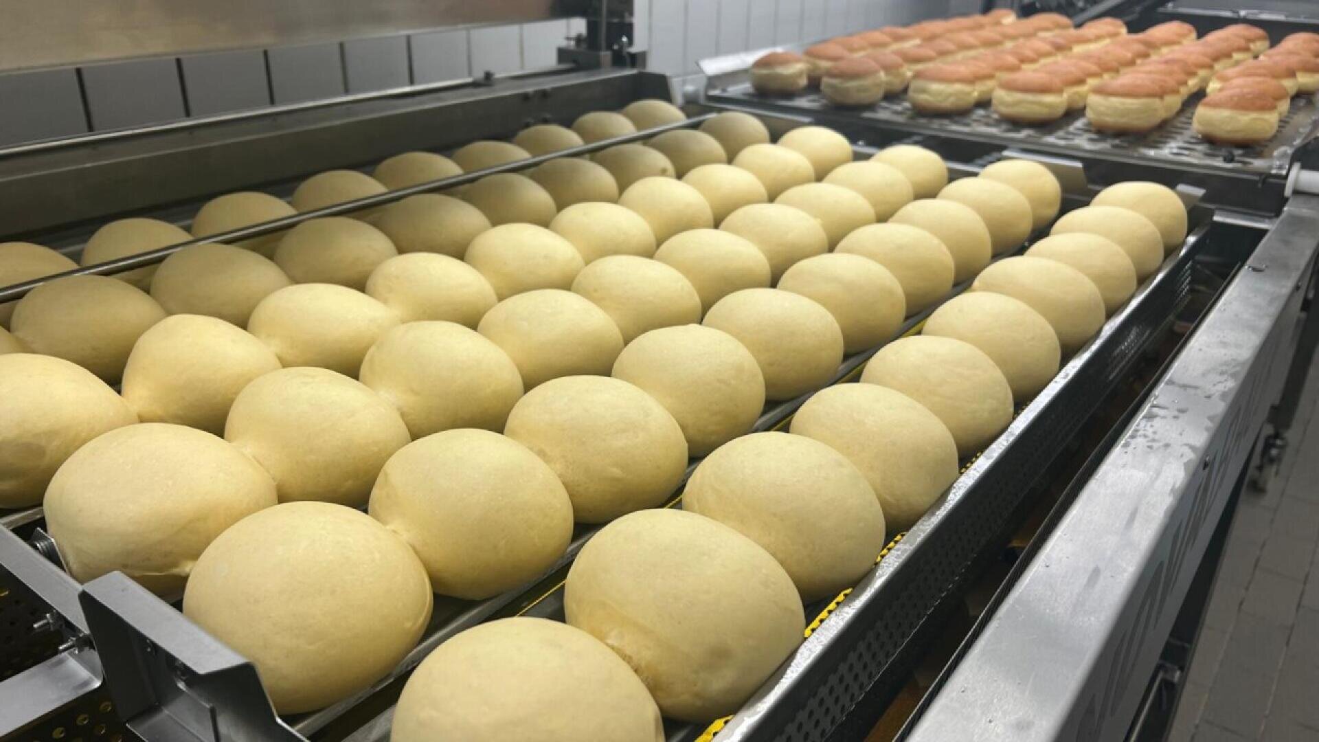 Rows of round, uncooked dough balls are lined up on trays in a bakery, with a tray of golden brown, baked donuts visible in the background.
