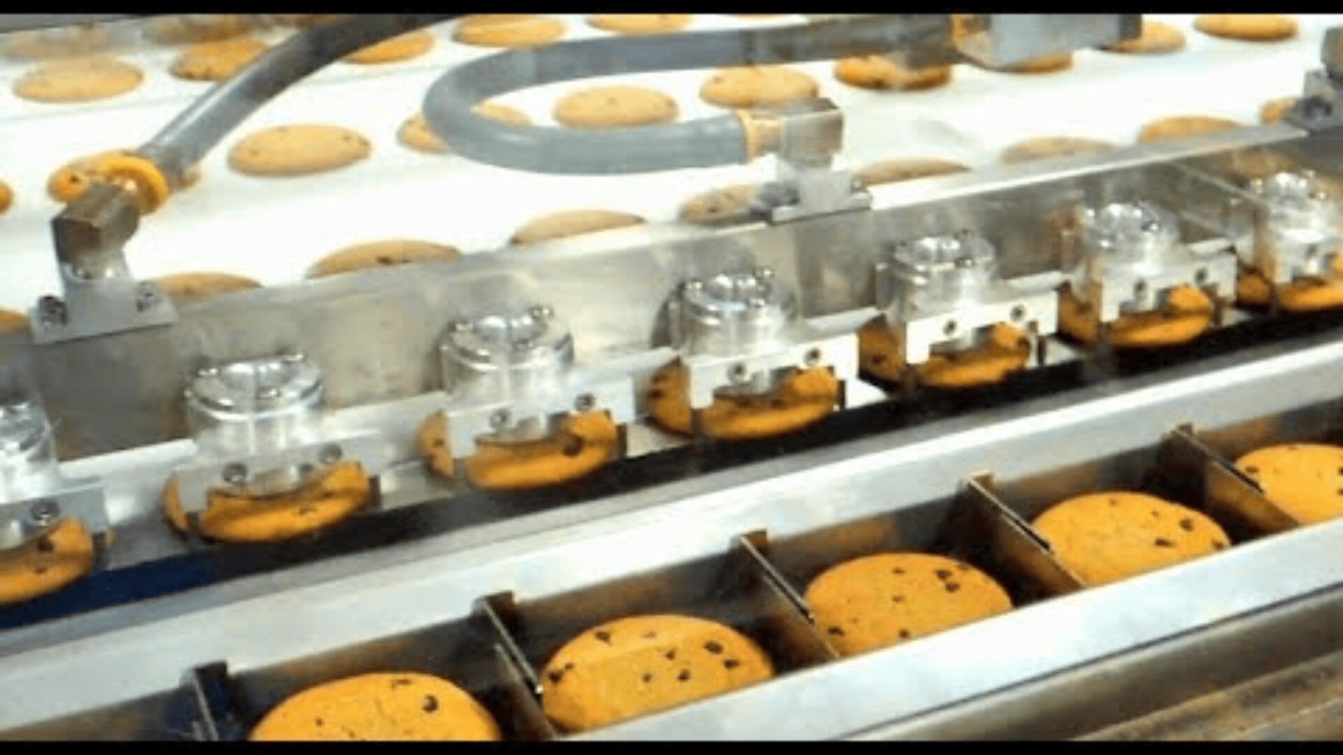 Rows of chocolate cookies being processed and sorted by an automatic machine on a conveyor belt in a factory.