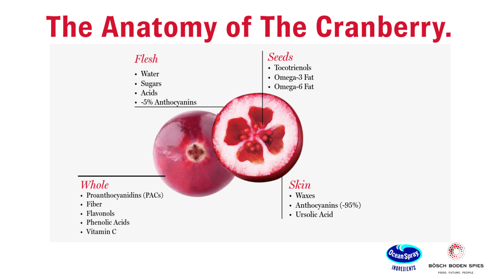 Ein beschriftetes Diagramm einer halbierten Cranberry mit detaillierten Angaben zu den Nährstoffen im Fruchtfleisch, den Kernen, der Schale und der ganzen Frucht, mit Kategorien wie Wasser, Zucker, Säuren, Fettsäuren, Ballaststoffen, Flavonoiden und Antioxidantien.