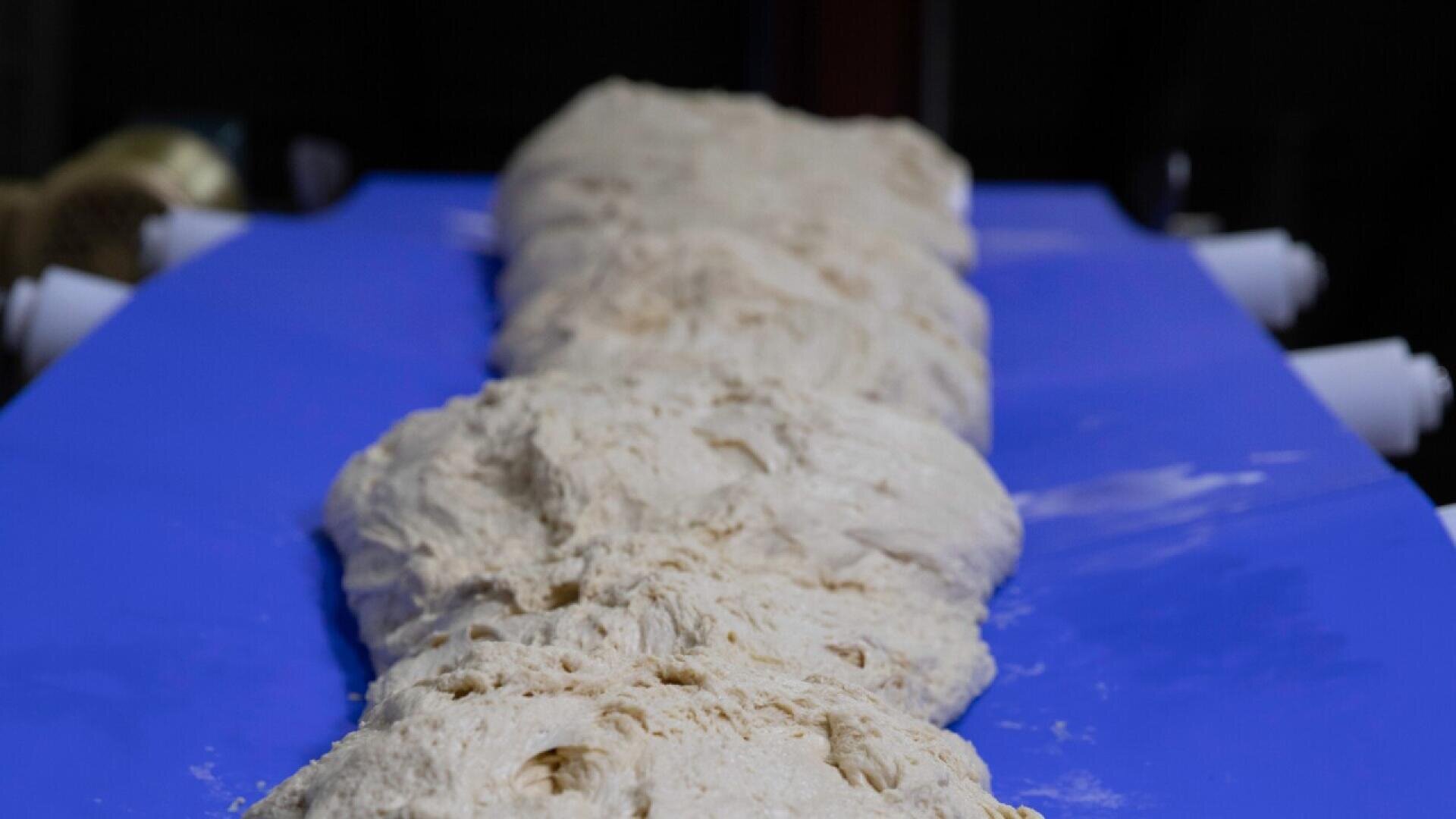 Eine dicke, längliche Masse aus rohem Brotteig liegt auf einem leuchtend blauen Förderband und ist bereit für die Weiterverarbeitung in einer Bäckerei oder Lebensmittelproduktionsanlage.