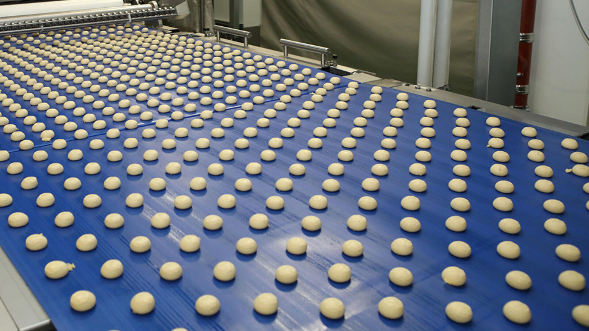 Rows of evenly spaced dough balls move along a blue conveyor belt in a food production facility, likely as part of an automated baking or manufacturing process.