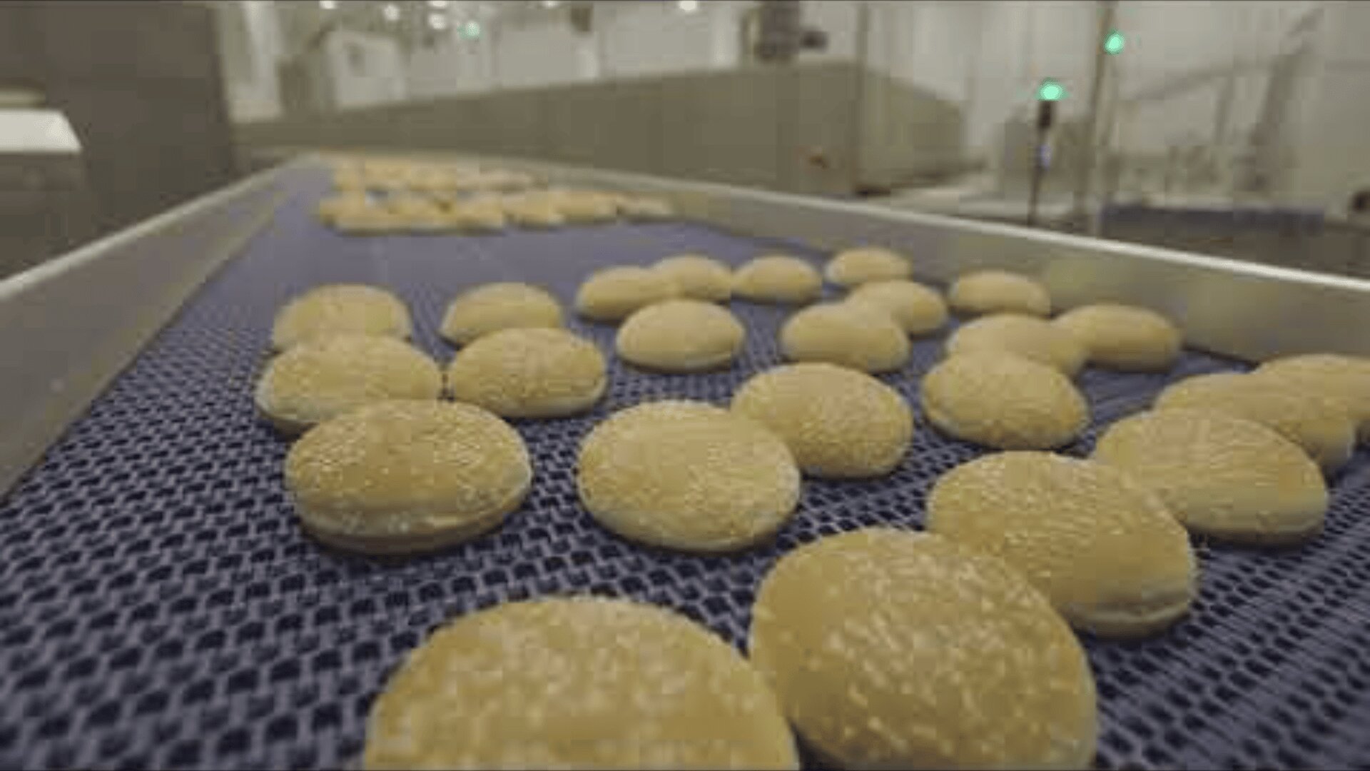 Dozens of sesame seed hamburger buns move along a blue conveyor belt in a large, modern food production facility.
