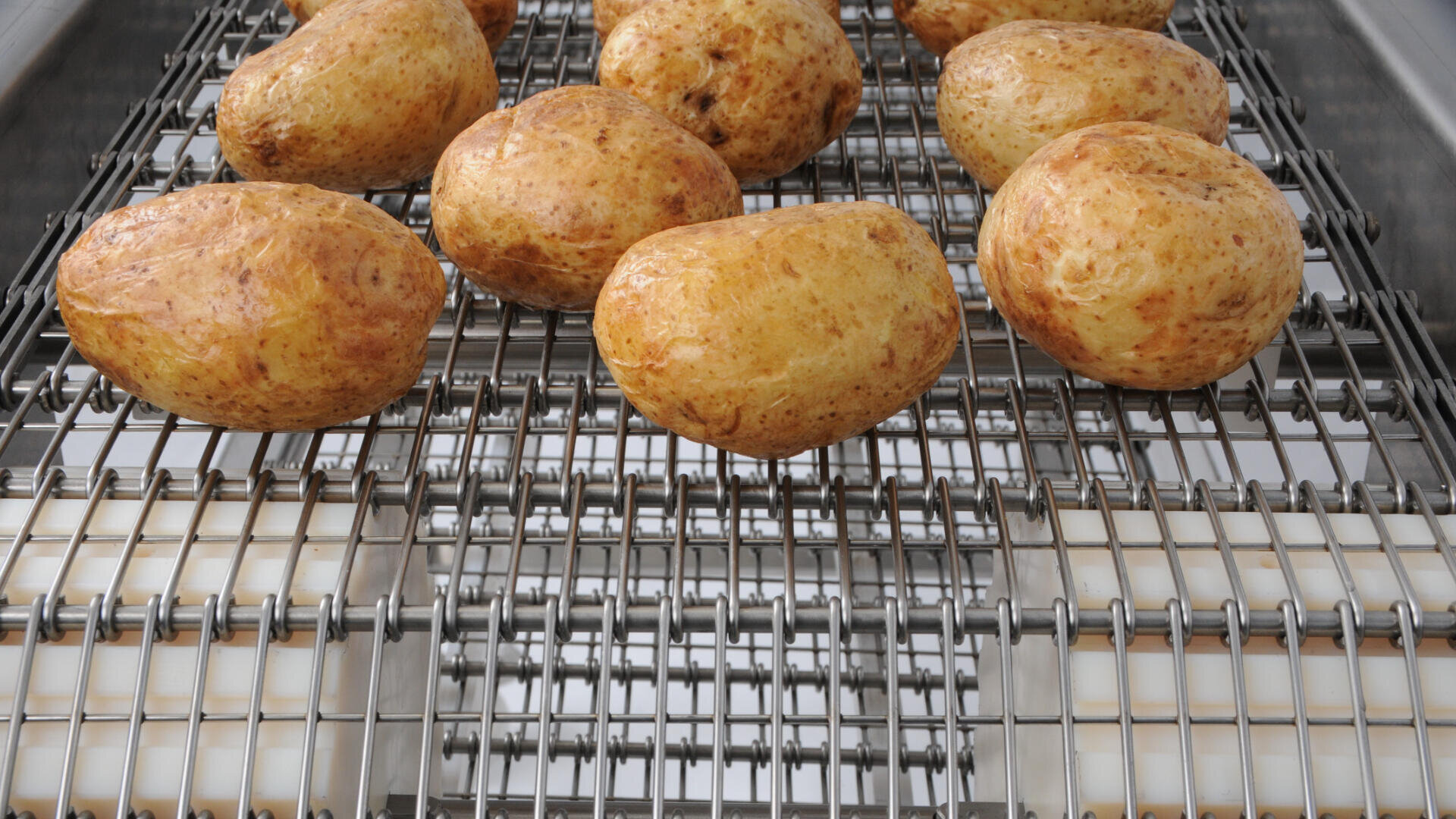Several whole, unpeeled potatoes sit on a metal conveyor belt, likely part of a food processing or production line. The surface beneath is reflective and the background is industrial.