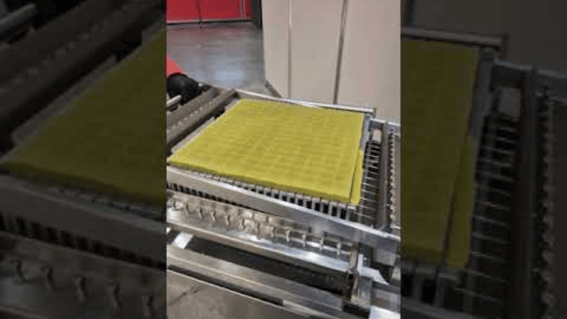 A metal tray holds a grid of yellow rectangular pasta sheets on an industrial conveyor system, with a red wall in the background.
