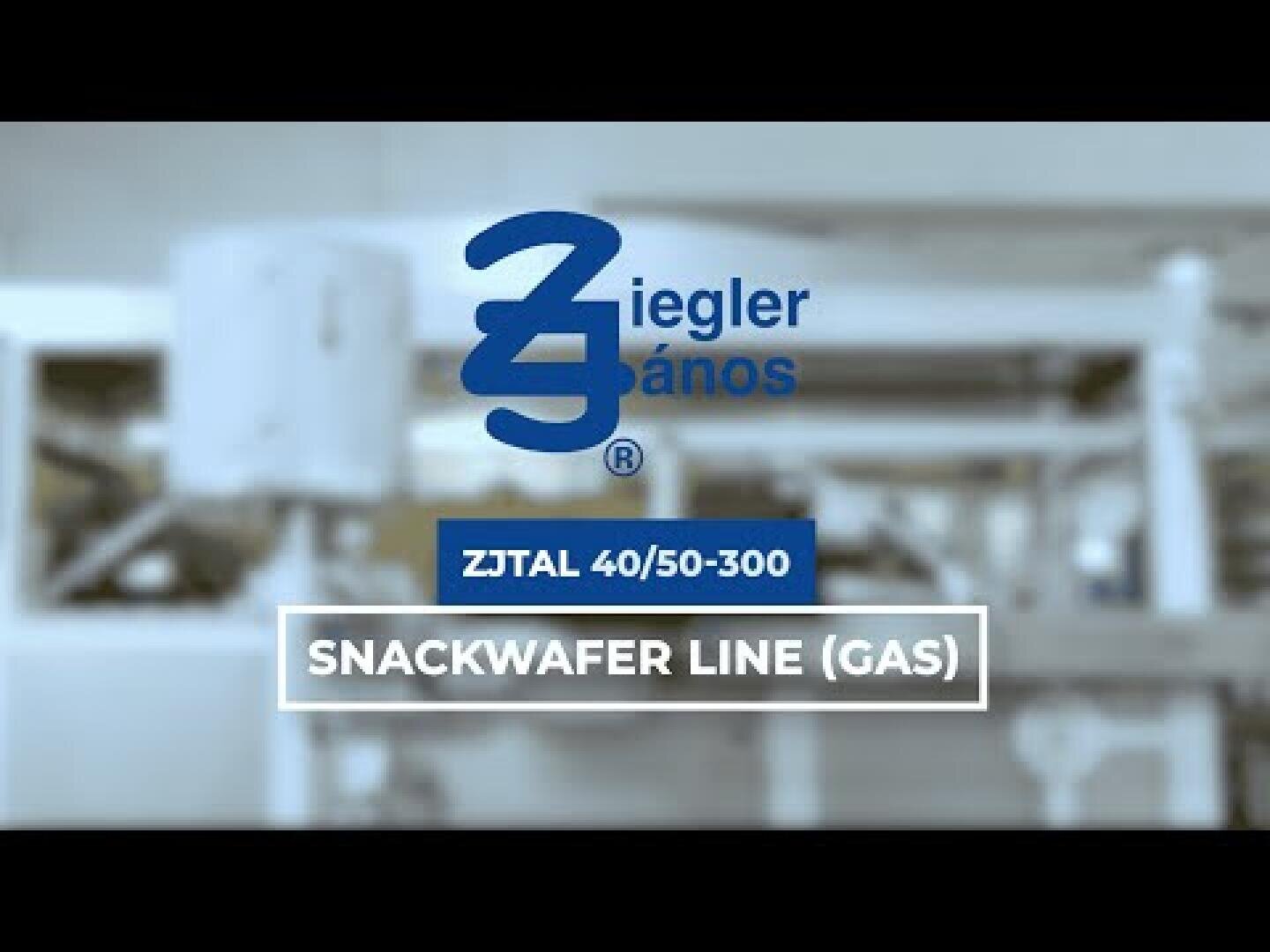 Blurred background of factory machinery with the blue Ziegler Ános logo over white text reading “ZJTAL 40/50-300” and “SNACKWAFER LINE (GAS)” in a rectangular frame.