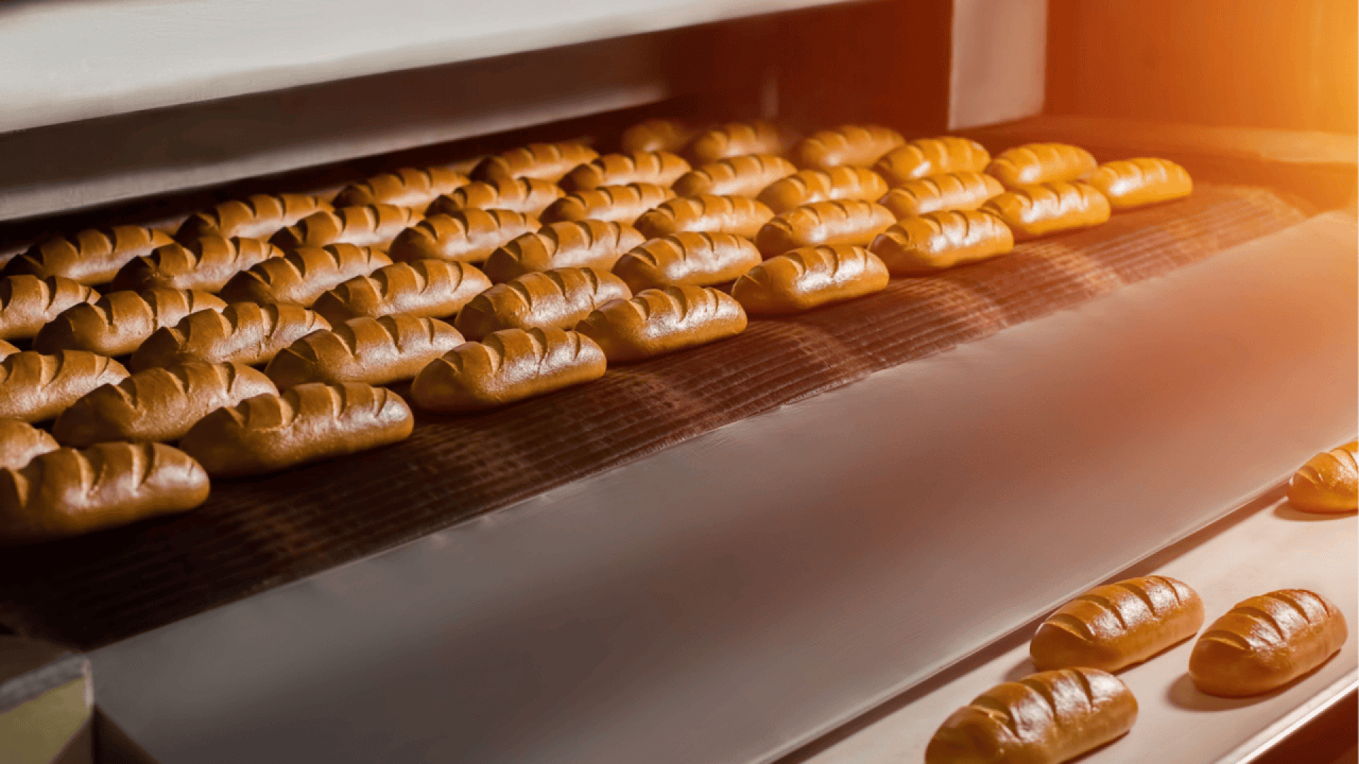 Rows of golden brown loaves of bread are being baked on a conveyor belt inside an industrial oven, with warm lighting highlighting their fresh, shiny crusts.