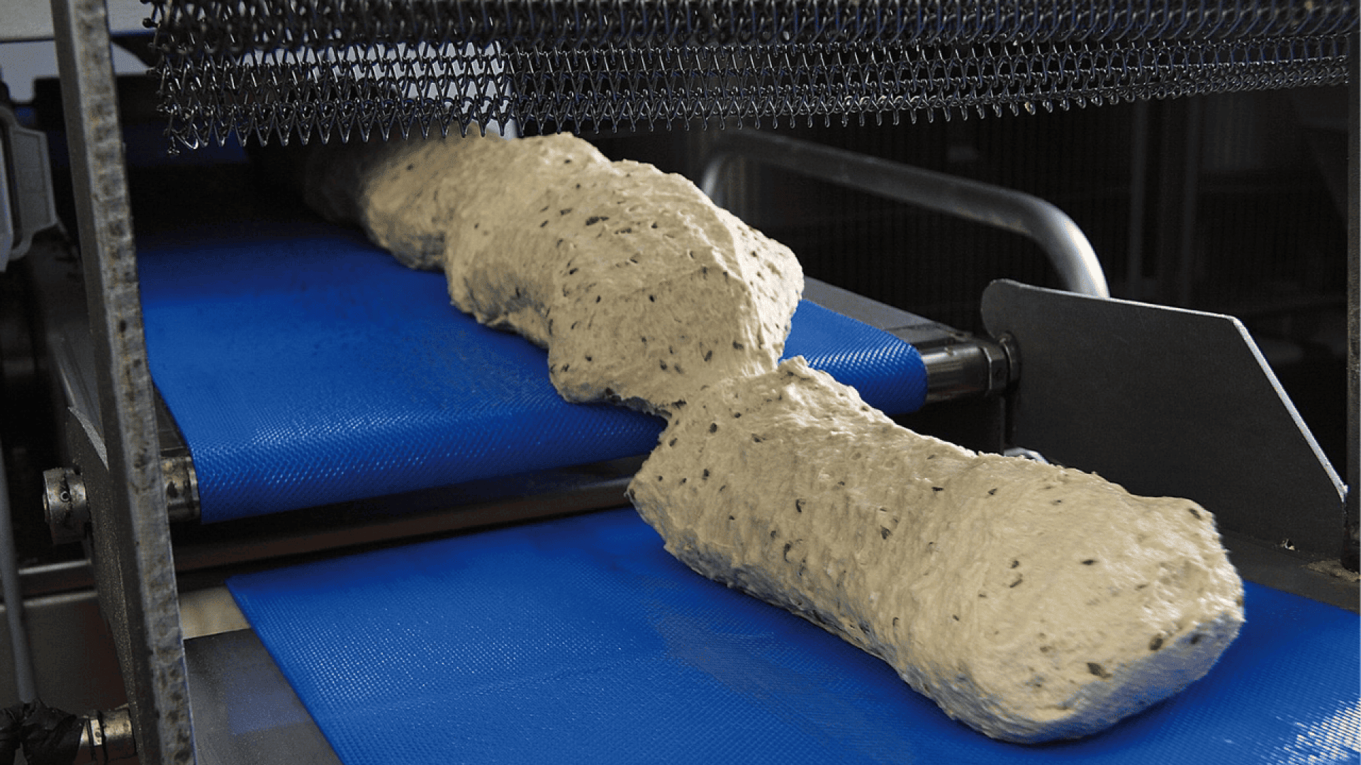 A close-up of bread dough with visible seeds moving along a blue conveyor belt in an industrial bakery setting.