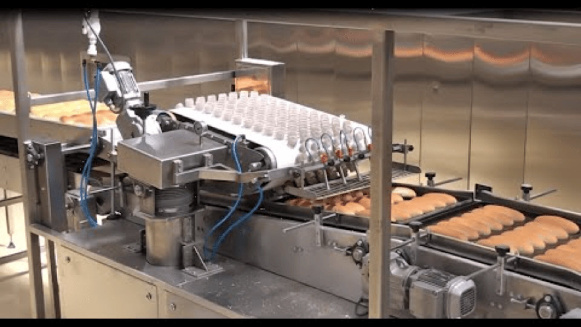 A factory machine with conveyor belts automates the process of placing rows of dough onto trays for baking, preparing bread rolls or pastries in a commercial bakery setting.