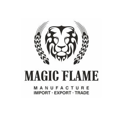 Logo Magic Flame / Klas Oil